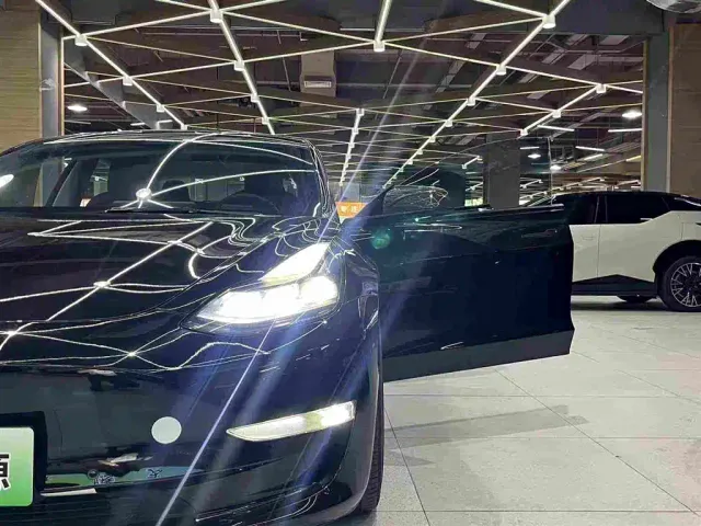 Tesla Model 3 — Фото автомобиля 23