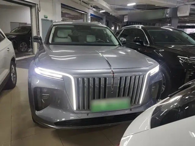 Hongqi E-HS9 — Фото автомобиля 2