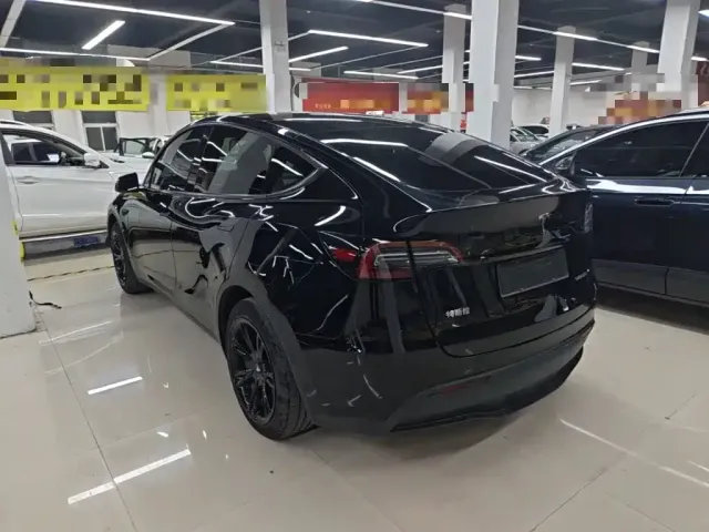 Tesla Model Y — Фото автомобиля 4