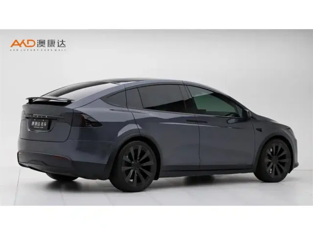 Tesla Model X — Фото автомобиля 3
