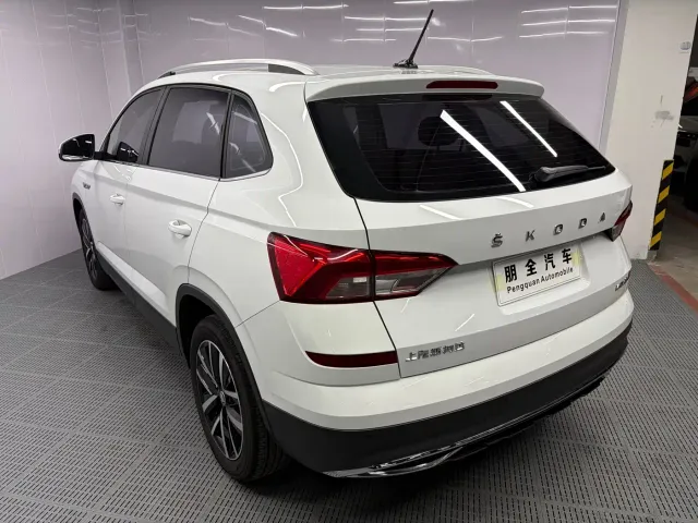 Skoda Kamiq — Фото автомобиля 16