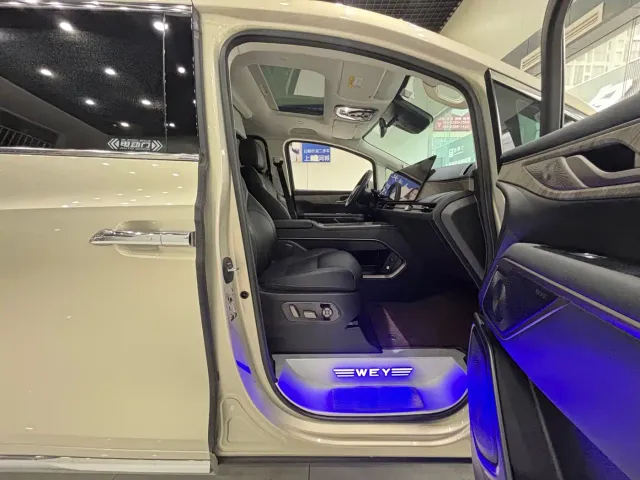 Wey Alpine — Фото автомобиля 13