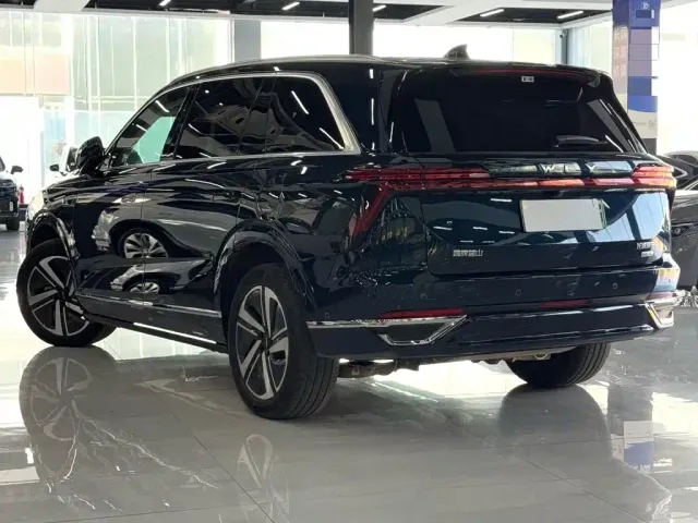 Wey Lanshan — Фото автомобиля 5