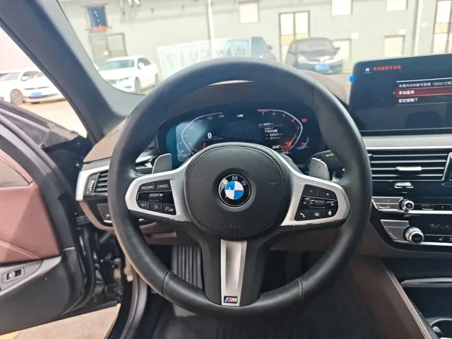 BMW 5 Series — Фото автомобиля 8