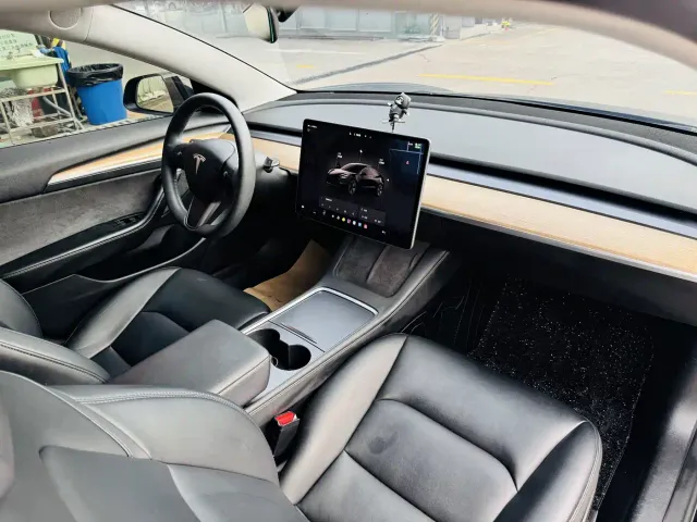 Tesla Model 3 — Фото автомобиля 11