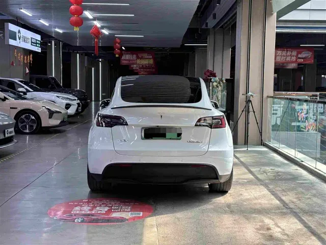 Tesla Model Y — Фото автомобиля 3