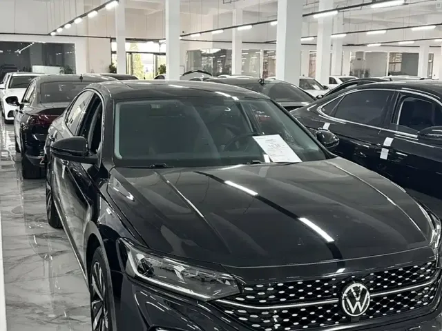 Volkswagen Passat — Фото автомобиля 9
