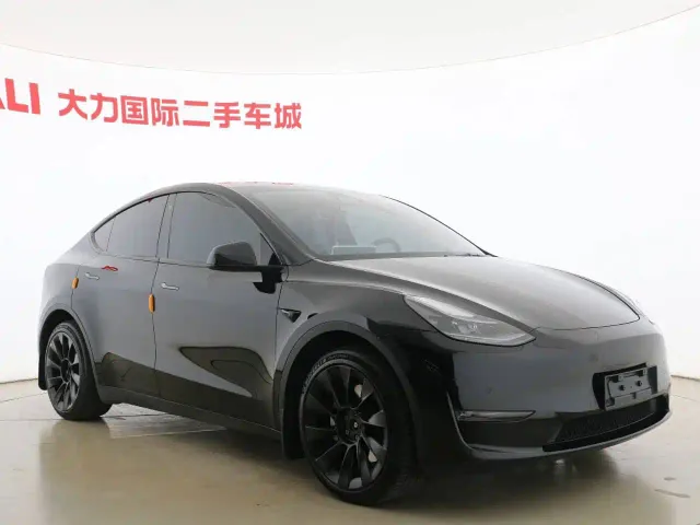 Tesla Model Y — Фото автомобиля 3