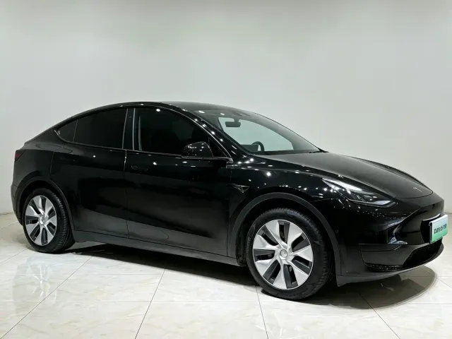 Tesla Model Y — Фото автомобиля 3