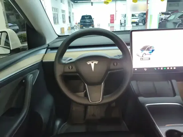 Tesla Model Y — Фото автомобиля 10