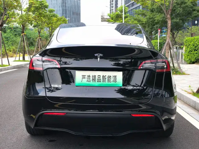 Tesla Model Y — Фото автомобиля 4