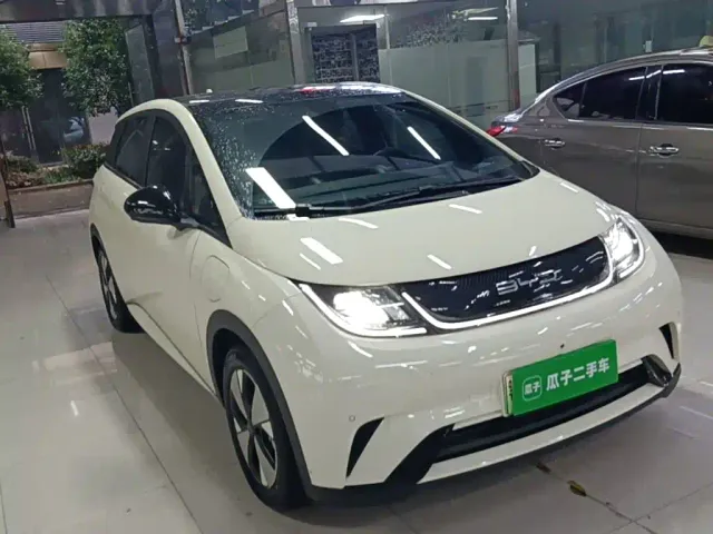 BYD Dolphin — Фото автомобиля 3