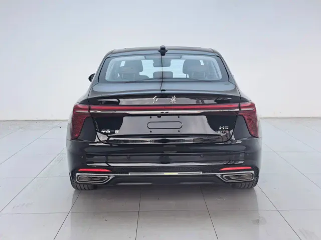 Hongqi H5 — Фото автомобиля 16