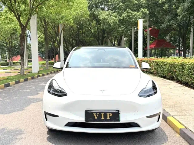 Tesla Model Y — Фото автомобиля 2