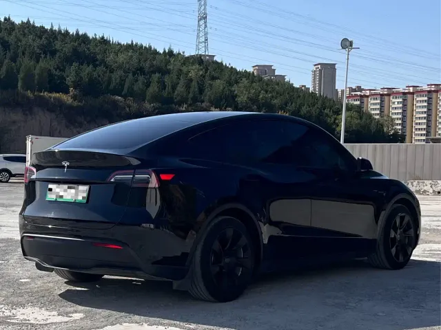 Tesla Model Y — Фото автомобиля 4