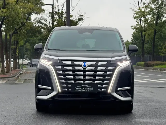 Denza D9 — Фото автомобиля 2