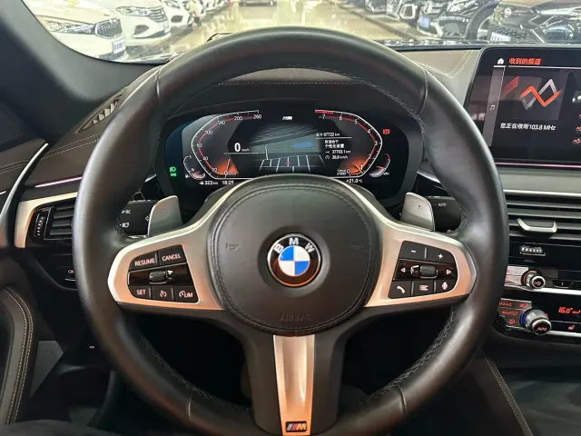 BMW 5 Series — Фото автомобиля 11