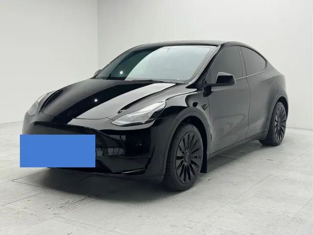 Tesla Model Y — Фото автомобиля 2