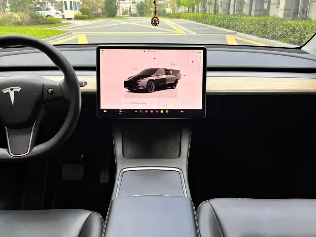 Tesla Model Y — Фото автомобиля 9