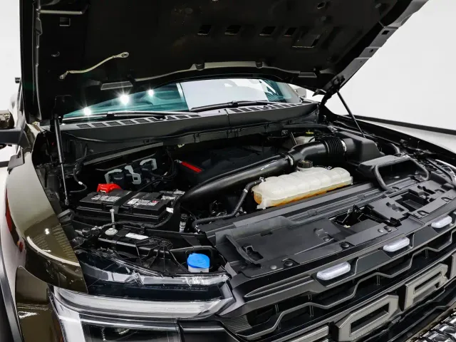 Ford F-150 Raptor — Фото автомобиля 21