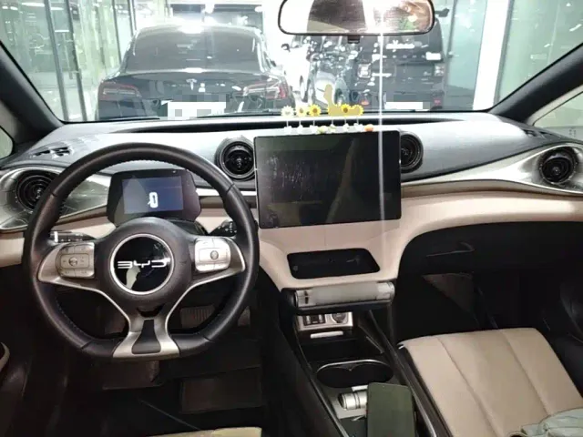 BYD Dolphin — Фото автомобиля 9