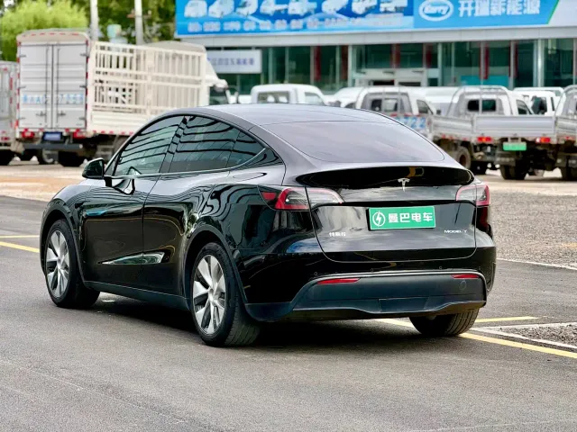 Tesla Model Y — Фото автомобиля 12