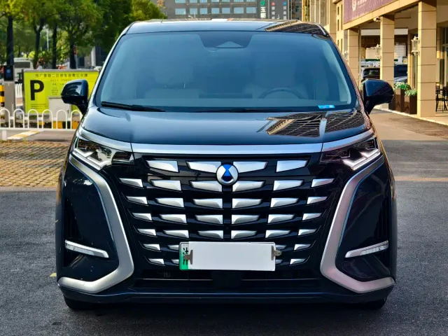 Denza D9 — Фото автомобиля 2