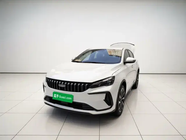 Фотография автомобиля — Geely Binrui