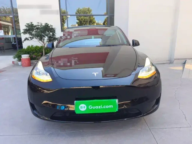 Tesla Model Y — Фото автомобиля 2