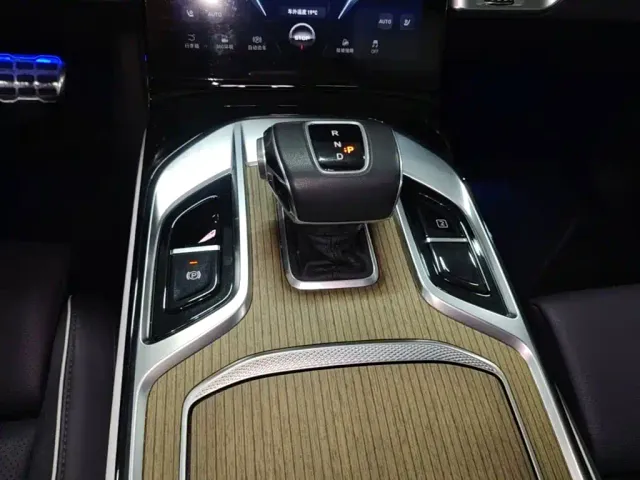 Hongqi E-HS9 — Фото автомобиля 13
