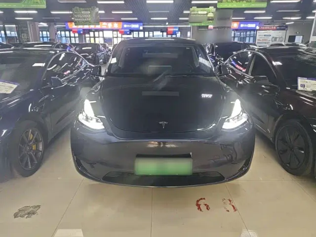 Tesla Model Y — Фото автомобиля 2
