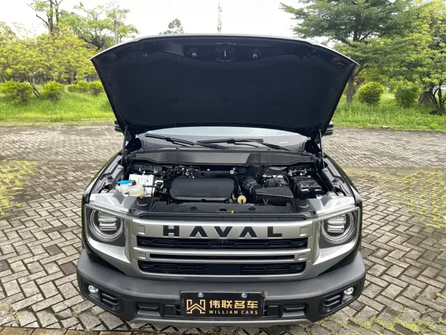 Haval Big Dog — Фото автомобиля 21