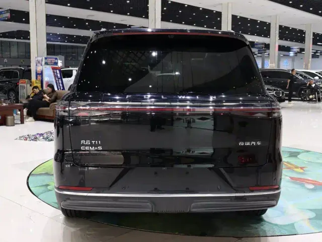 Chery Fulwin T11 — Фото автомобиля 5
