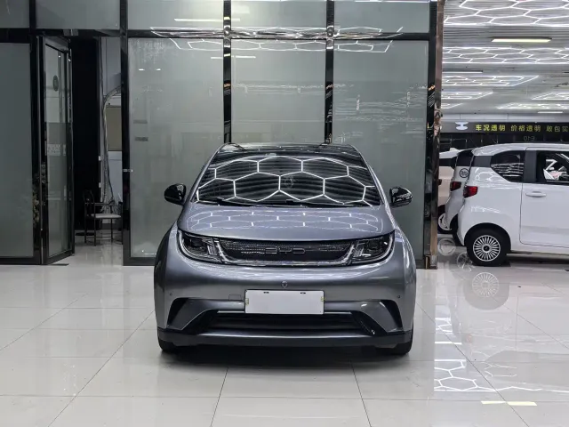 BYD Dolphin — Фото автомобиля 2