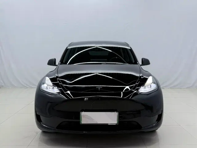 Tesla Model Y — Фото автомобиля 2