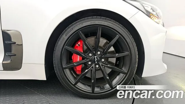 Kia Stinger Stinger Meister 2.5 AWD Masters Acro Edition — Фото автомобиля 5