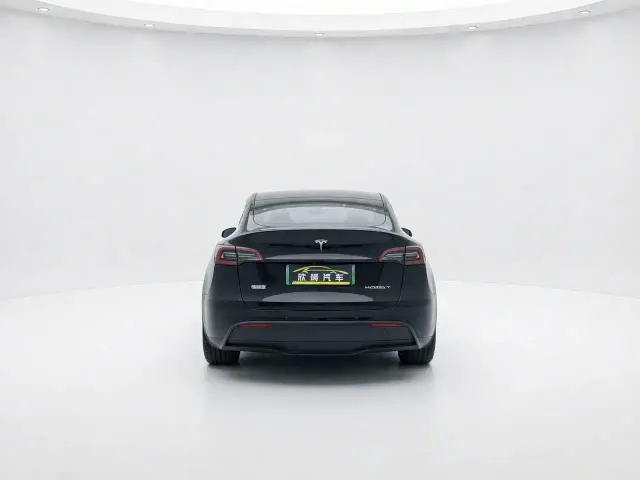 Tesla Model Y — Фото автомобиля 12