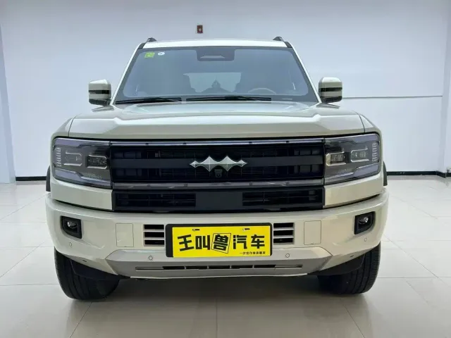 BYD FangChengBao Leopard 5 — Фото автомобиля 2