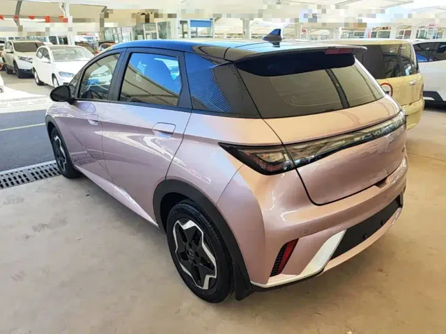 BYD Dolphin — Фото автомобиля 4
