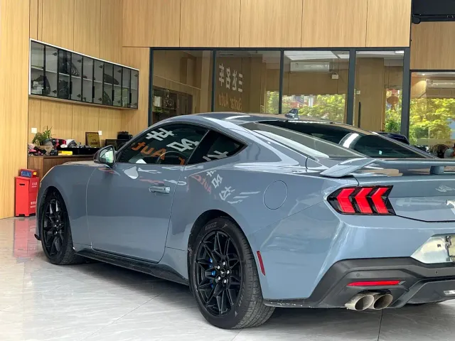 Ford Mustang — Фото автомобиля 17