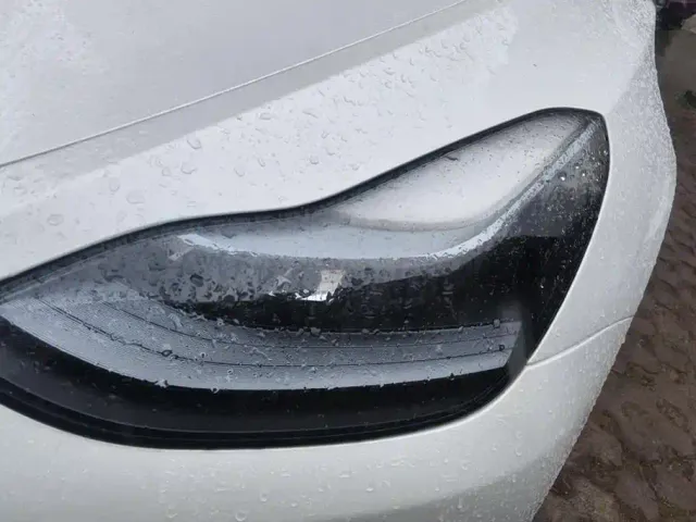 Tesla Model Y — Фото автомобиля 5