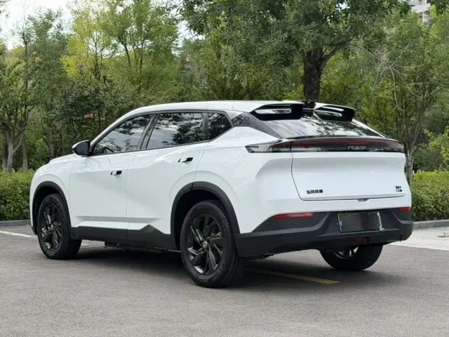 Dongfeng SKY EV01 — Фото автомобиля 23