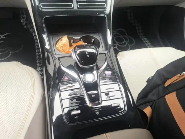 BYD Qin PLUS — Фото автомобиля 13