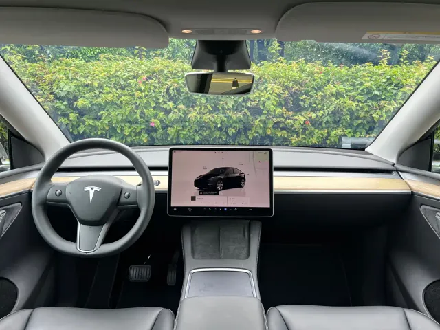 Tesla Model Y — Фото автомобиля 4