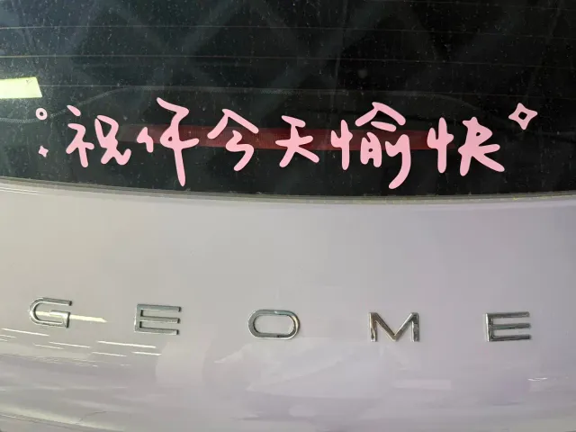 Geely Starry Wish — Фото автомобиля 10