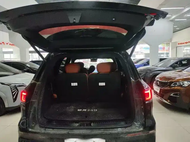 Geely Galaxy M9 — Фото автомобиля 8