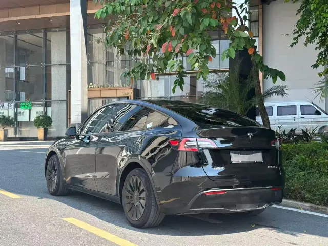 Tesla Model Y — Фото автомобиля 5