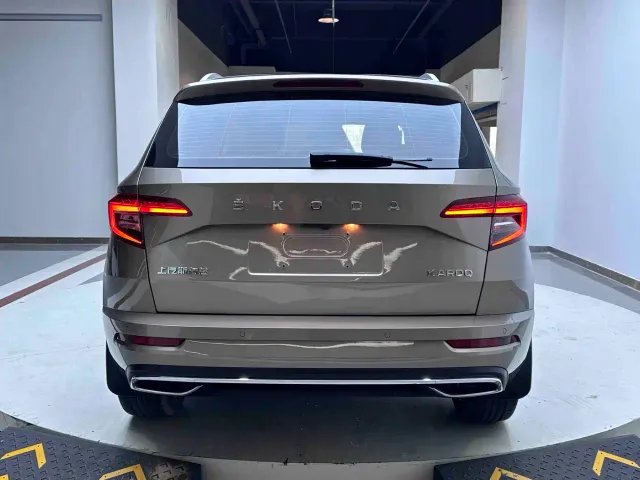 Skoda Karoq — Фото автомобиля 6