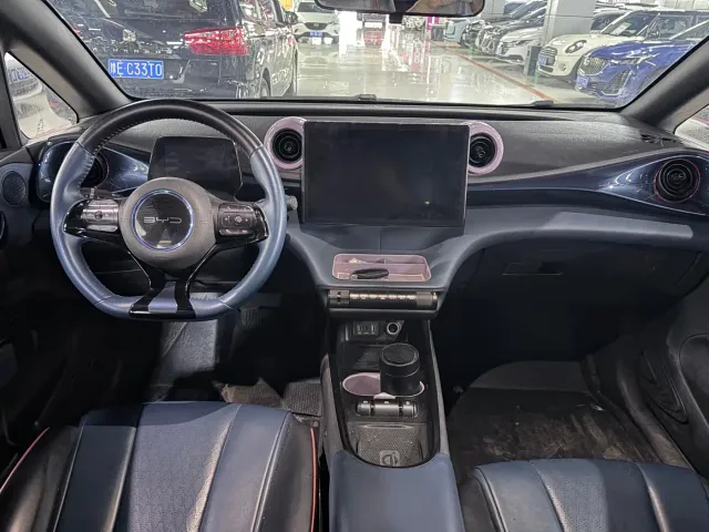 BYD Dolphin — Фото автомобиля 5