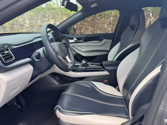 BYD Qin PLUS — Фото автомобиля 4